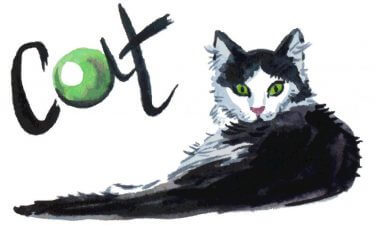 El poder curativo de nuestras mascotas