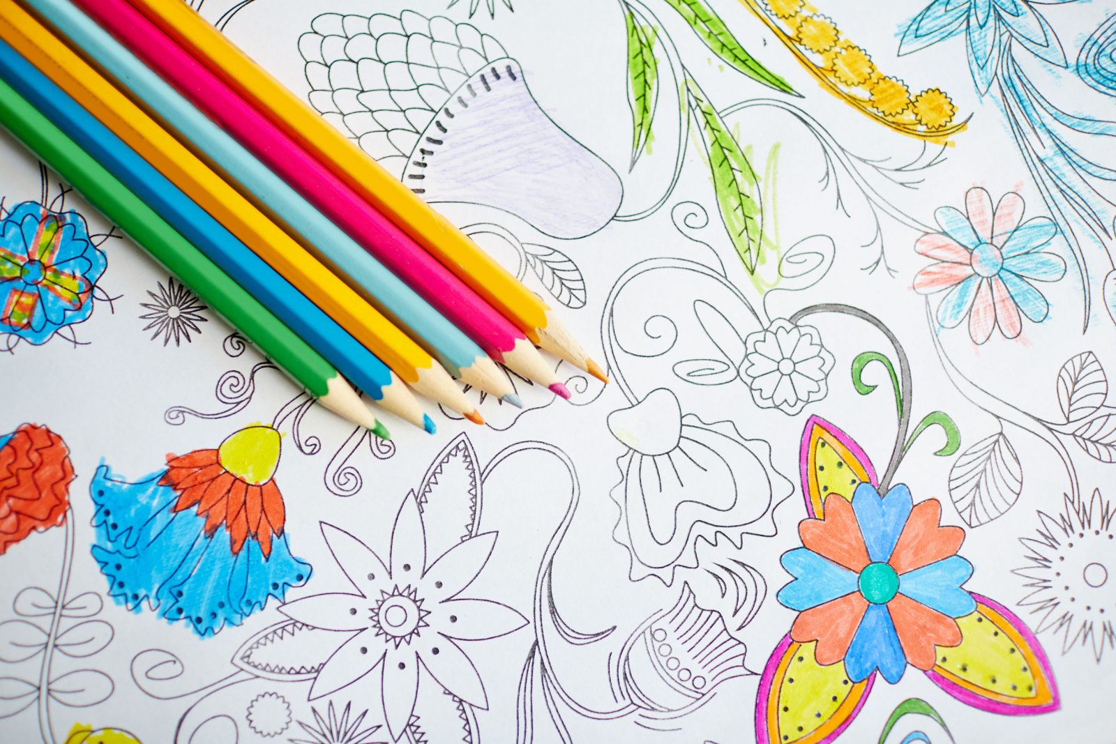libros para colorear y dibujar