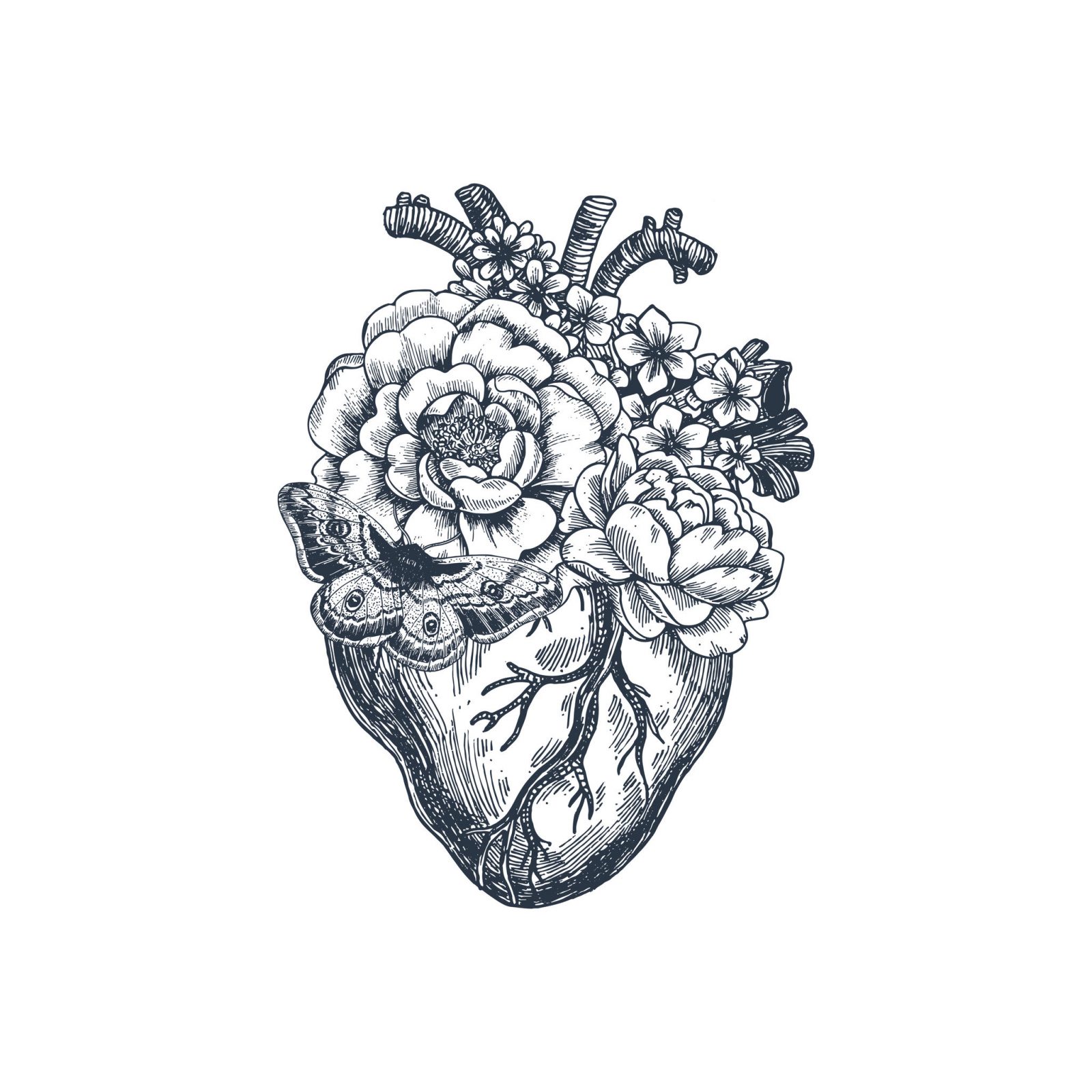 corazón de melón