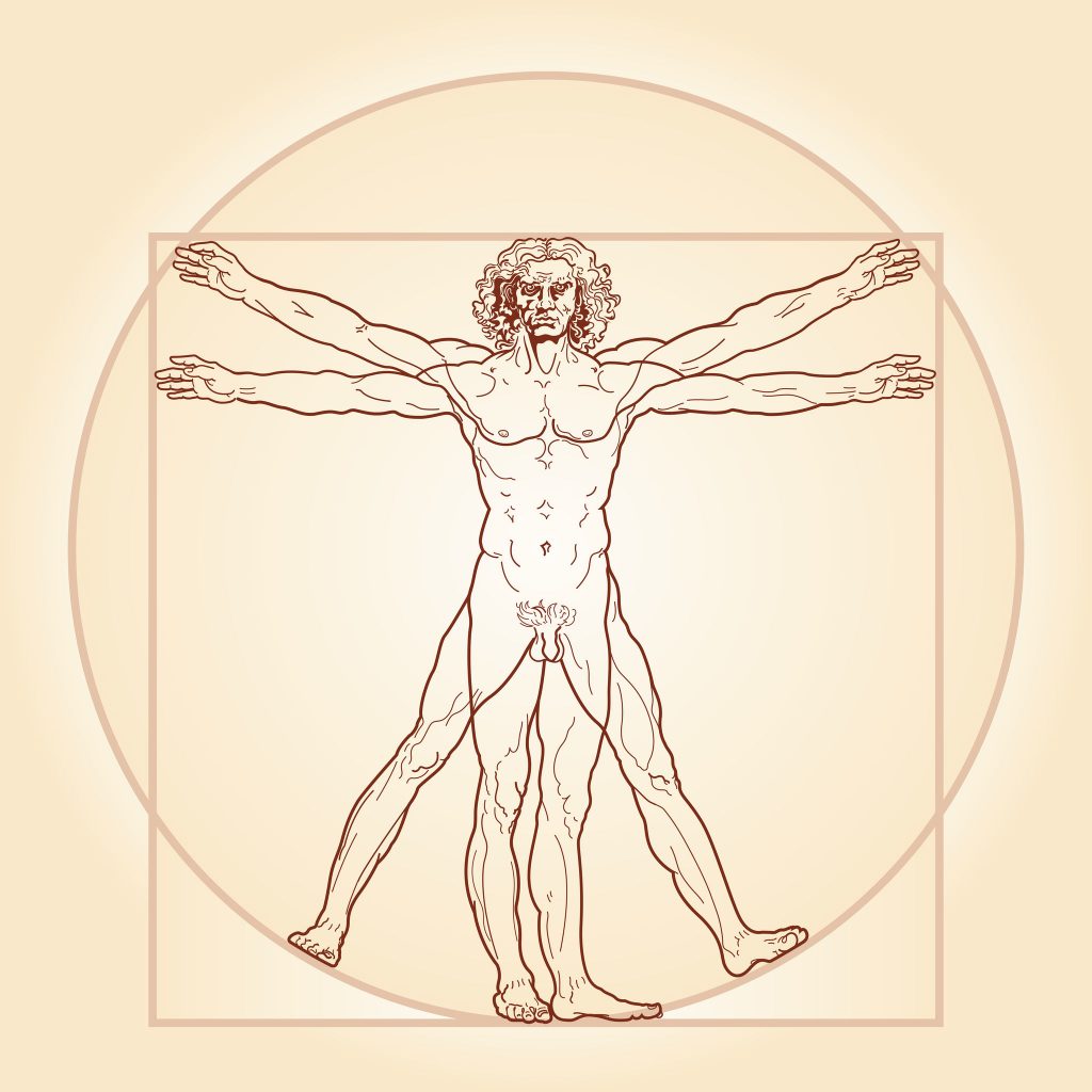arquitectura y da vinci