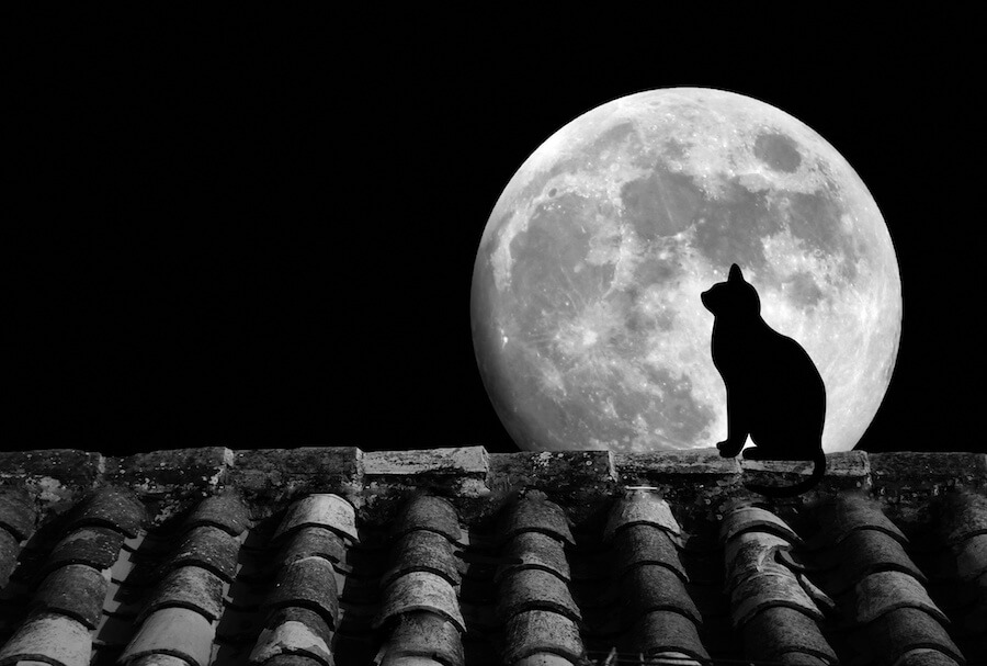 primera luna llena del año