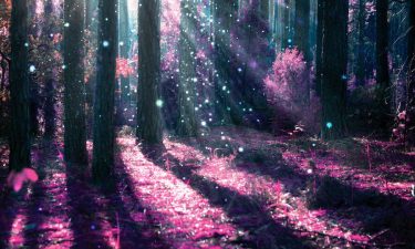 Tirada de Tarot del Árbol de la Vida