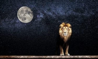 ¿Cómo nos influye la Luna en Leo?