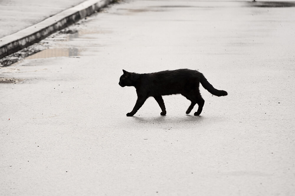 Las creencias y supersticiones de cada signo
