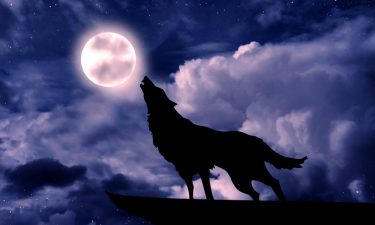 ¿A qué rinde culto cada signo del Zodíaco?
