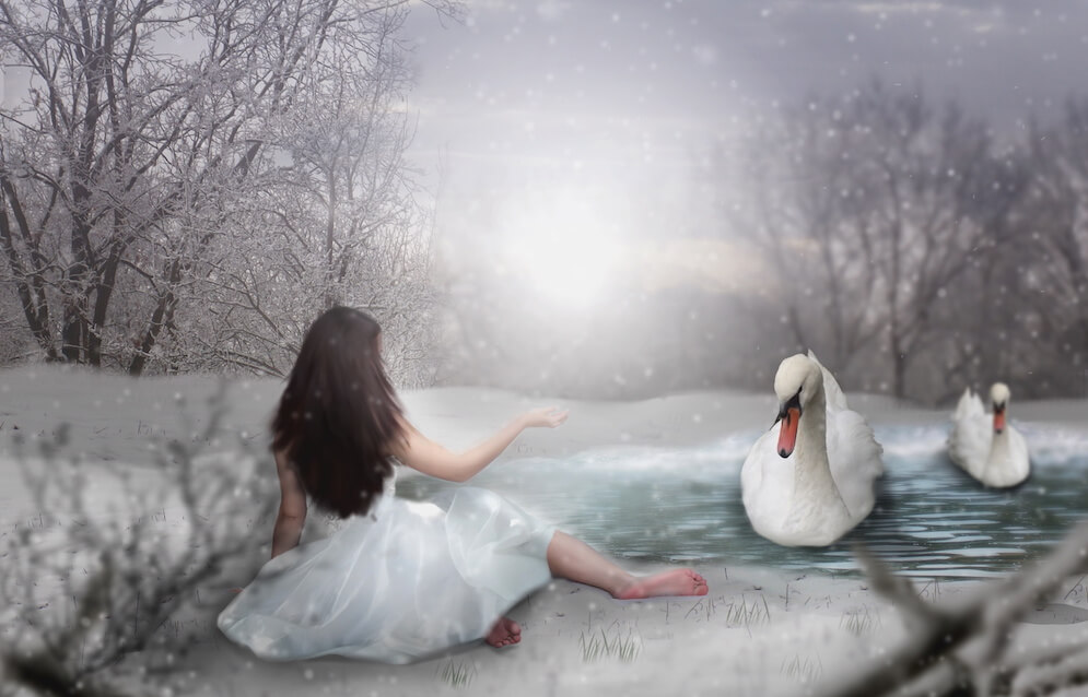 horóscopo persa el cisne