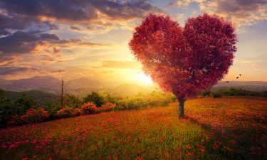 Horóscopo Amor de la semana: Del 8 al 14 de Abril