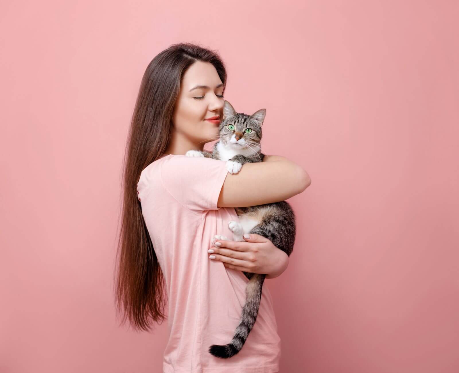 amor de gato
