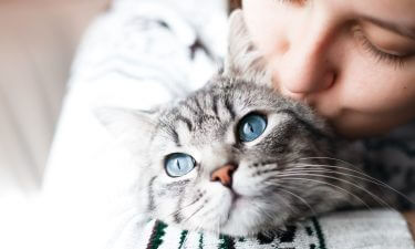 La raza de gato ideal para cada signo del Zodiaco