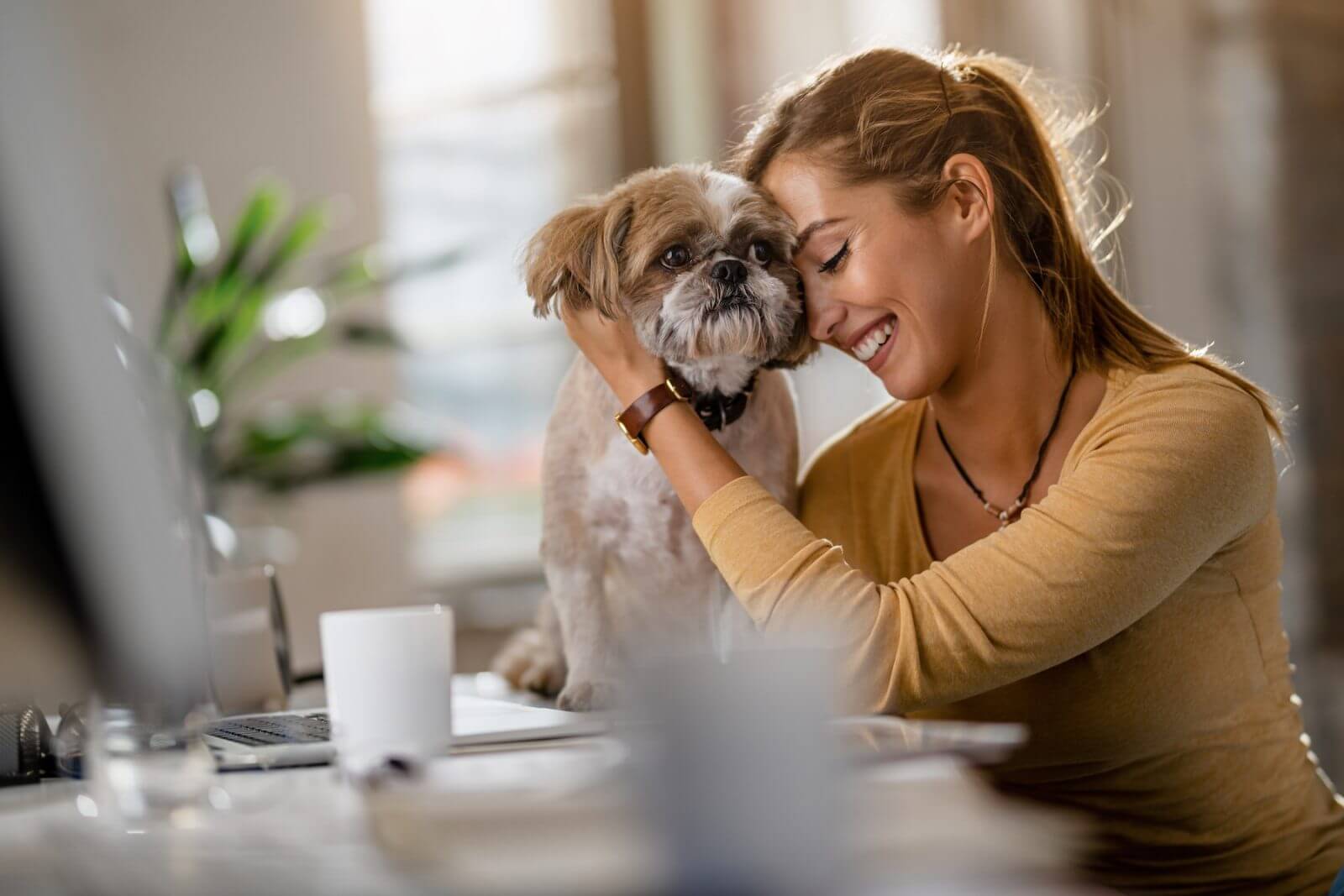 perro y mascota