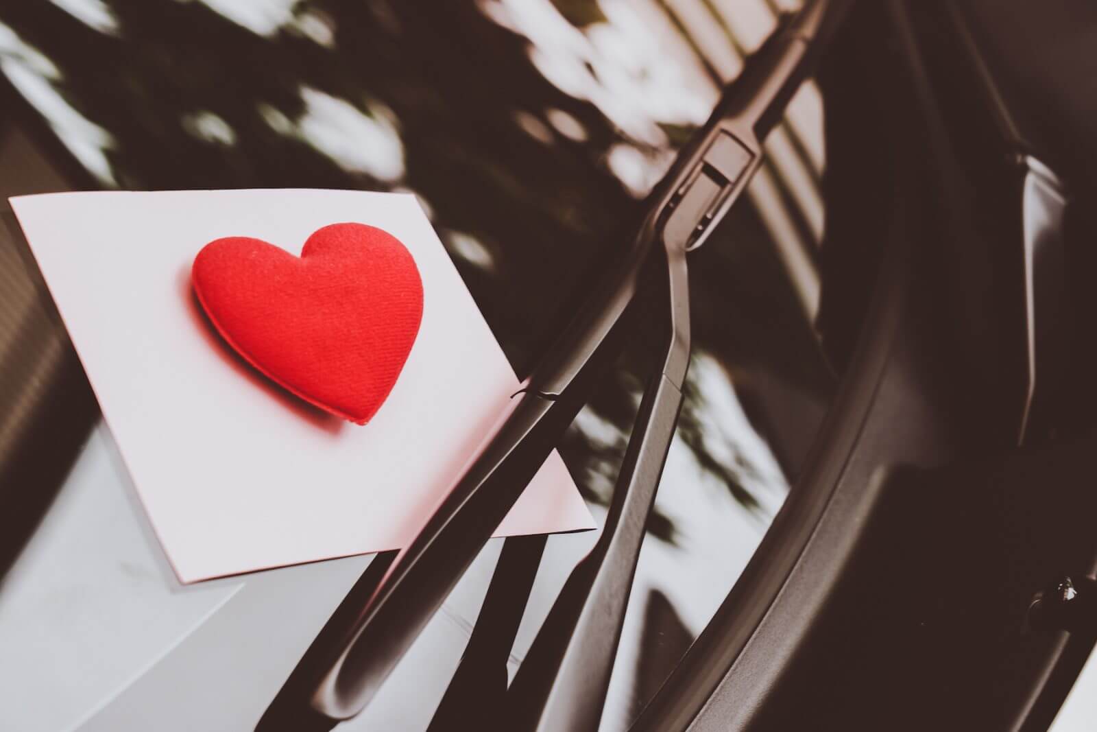 amor de Cáncer
