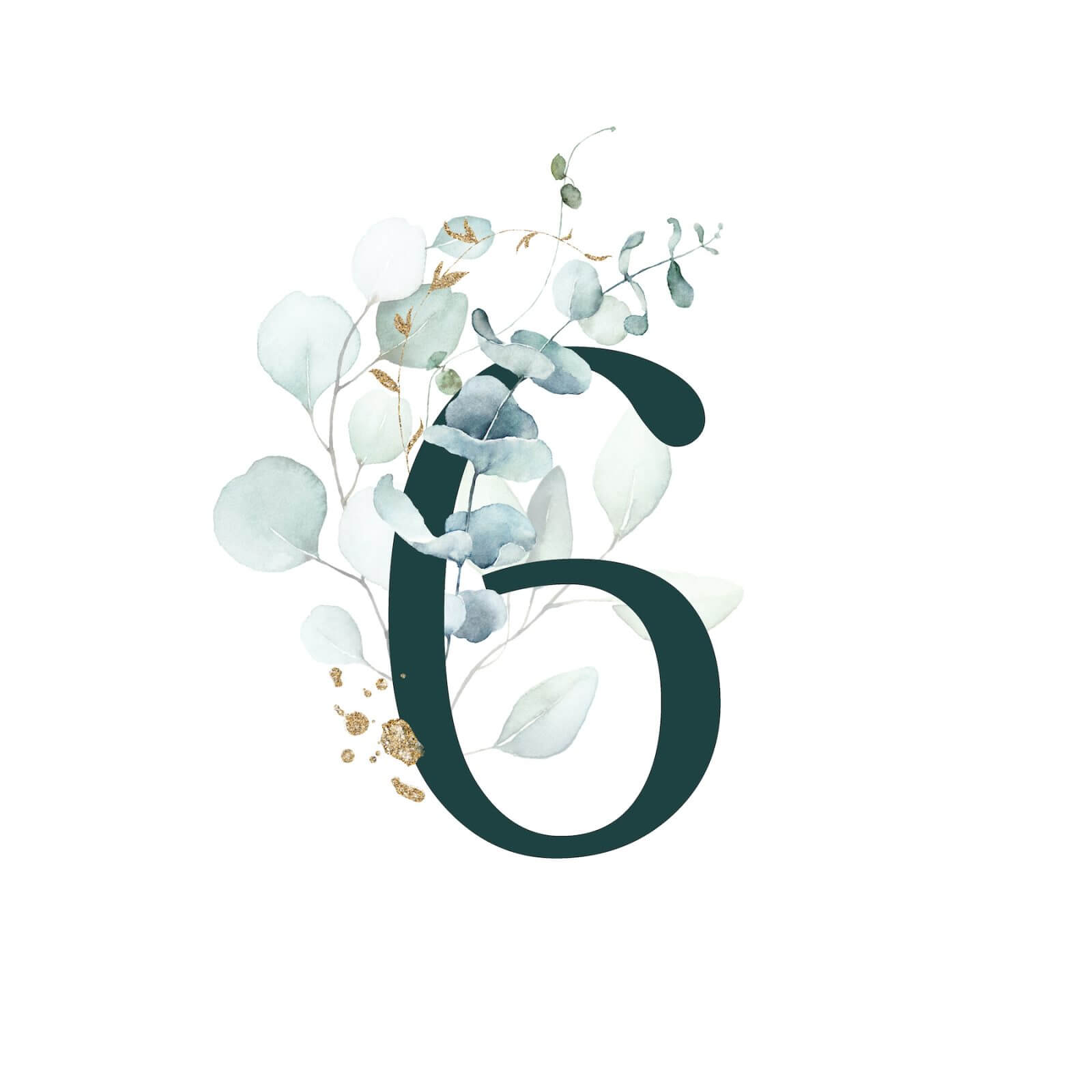 el día 6