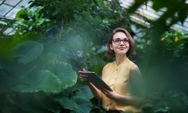 Las 5 profesiones ideales para Sagitario