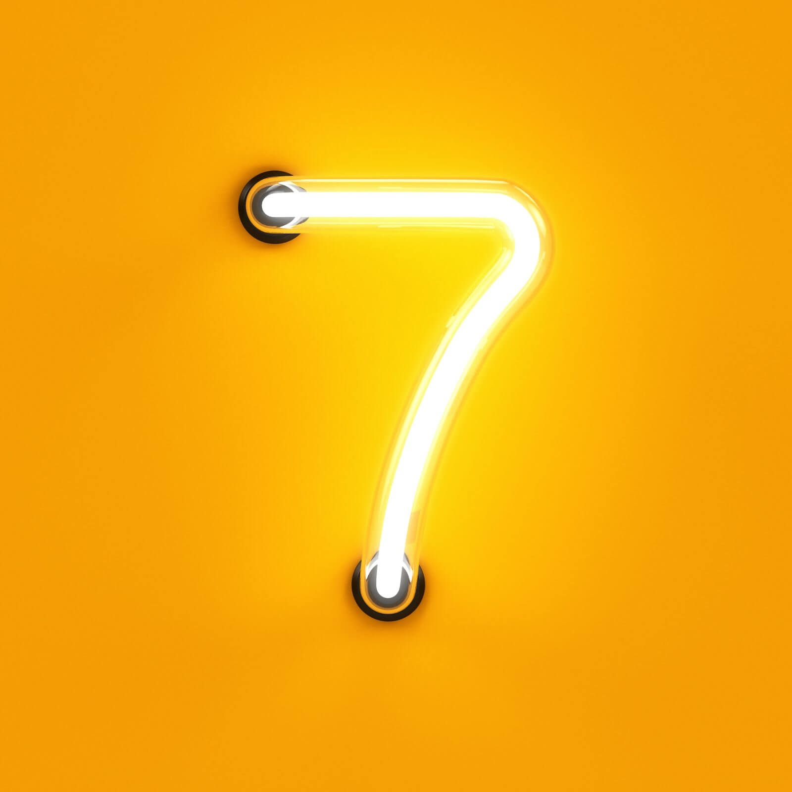 día 7
