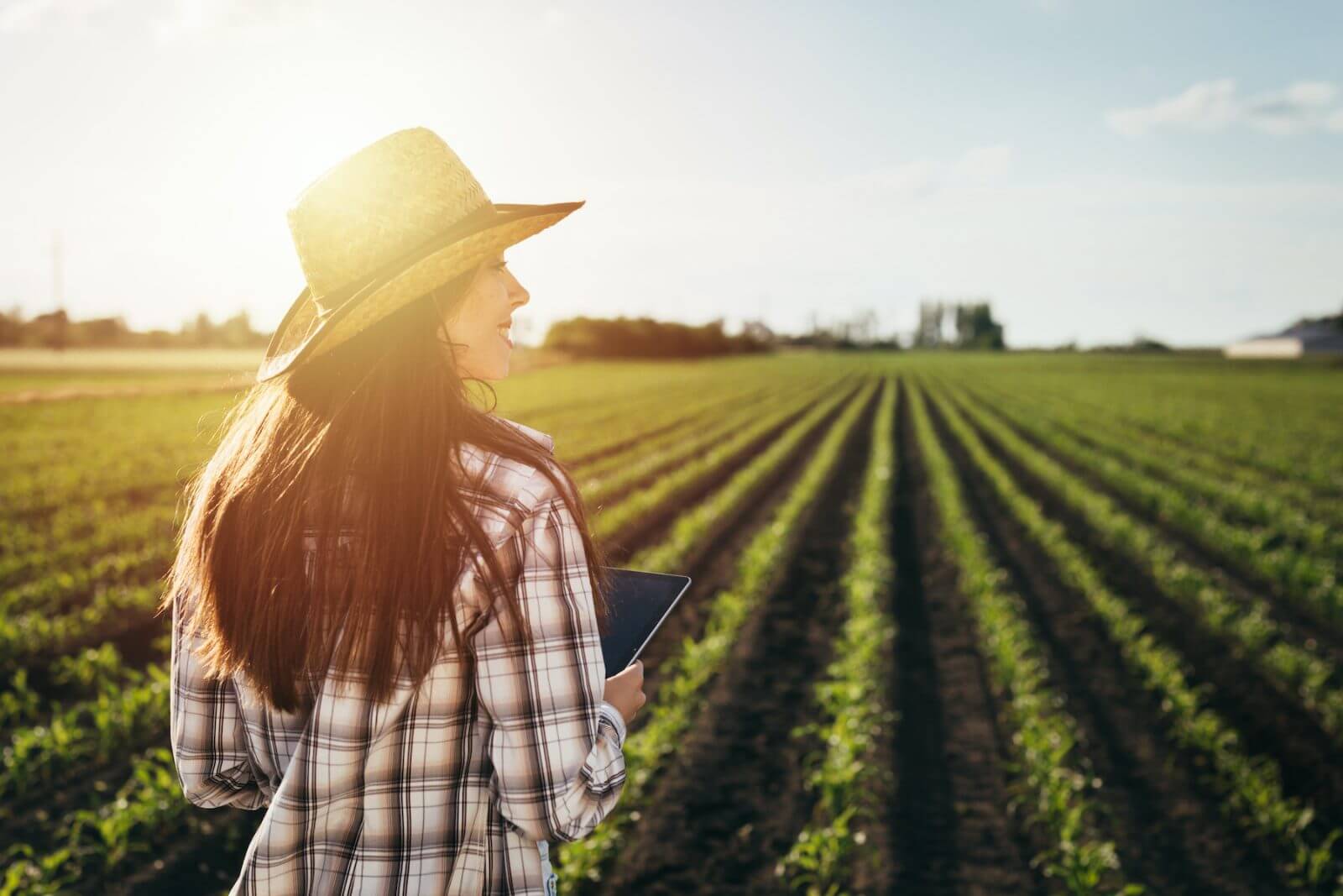 Tauro ingeniero agrónomo
